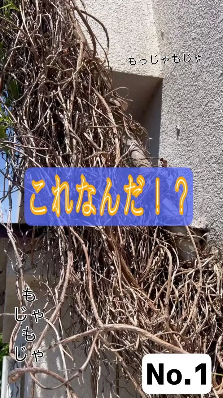 これなんだシリーズ‼️