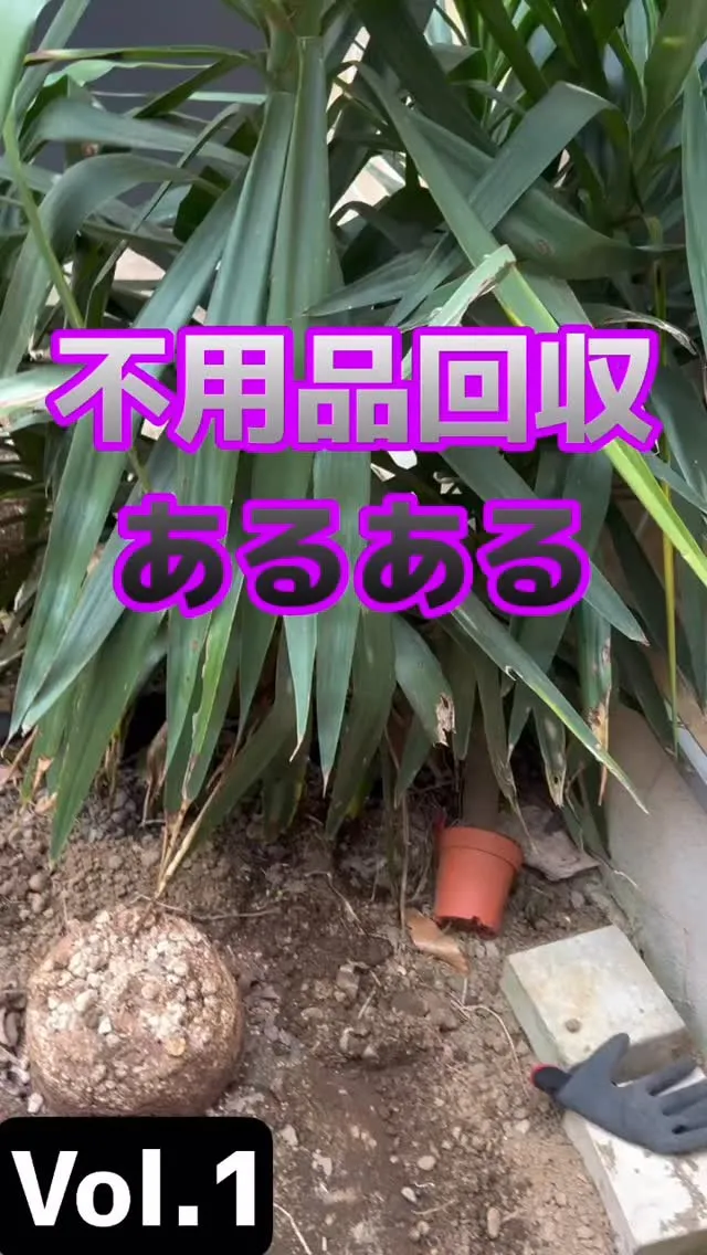 不用品回収あるある👻
